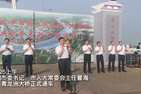 益阳新地标！青龙洲大桥今天正式建成通车图片