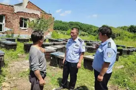 事发丹东！“活久见”！蜜蜂打群架，民警来劝架……图片