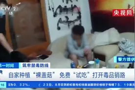 央视曝致幻毒品蘑菇伪装成巧克力，免费“试吃”大批年轻人被骗…图片