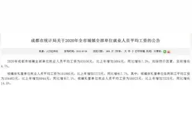 2020成都平均工资出炉图片