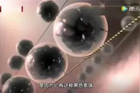 为什么有的人怎么晒都不黑？别太羡慕，容易晒黑的人隐藏了这些好处……图片