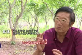 12000张照片、 600小时录像 ...他坚持用30年的时间，记录父母的点点滴滴图片