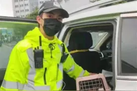 小猫被困高架桥，交警携手志愿者暖心救助图片