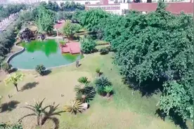 一人，一家，一厂 自贡这家企业车间里的小康密码图片