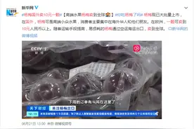 杨梅在海外一个卖10块？网友：好像发现了新商机……图片