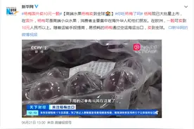 杨梅在海外一个卖10块？网友：好像发现了新商机……图片