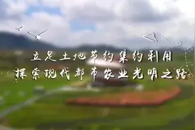 全国土地日，一组镜头带你领略现代都市农业光明之路视频封面