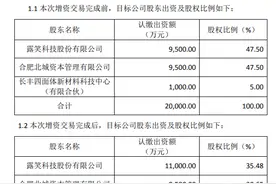 “最牛风投城市”合肥国资系再出手 露笑科技半导体项目获增资图片