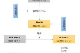 普通肝素、低分子肝素、磺达肝素之间的区别丨干货图片