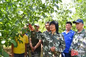 燕赵荣光｜“太行新愚公”精神励后人——追寻“人民楷模”李保国的足迹图片