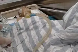 泪别！他才19岁图片