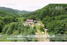 七旬老汉与他的环保碑林图片