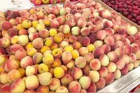 买桃子不是越大越好，分清“公桃母桃”，香甜多汁，一挑一个准图片