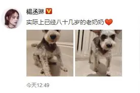 杨丞琳社交平台晒狗狗照片 叫狗“老奶奶”图片