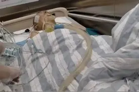 痛心！他才19岁，“既然生命已经无法挽回，那就尽可能多拯救其他人”图片