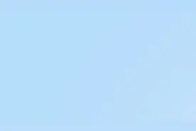 为了人民丨黄河三角洲：盐碱荒滩变身“绿富美”图片