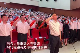 益阳高新区举行“七·一”表彰大会图片