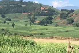 流金岁月I草原笔会我心依然图片