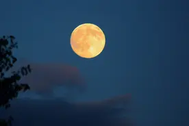 静夜有声 | 十五的月亮图片