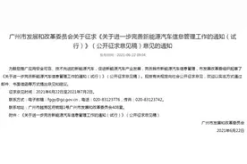 重磅！广州新能源车上“绿牌”或有新要求图片