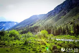 走进云南白马雪山曲宗贡 邂逅夏日美景图片