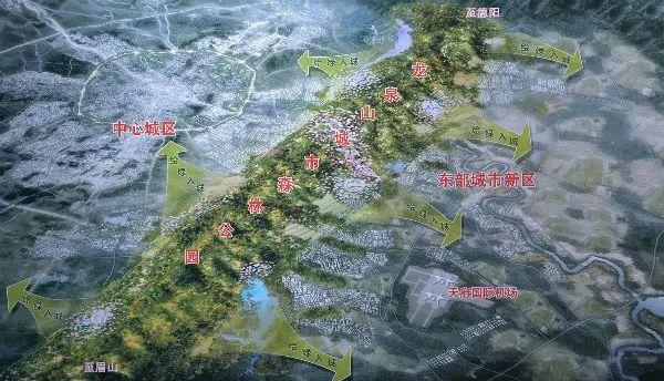 今天，神鸟展翅，成都添翼