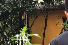 杭州多个小区有猴闯进居民家捣乱，专家：先关住再报警图片