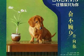 宠物题材奇幻电影《再见汪先森》将上映：狗狗的暖心陪伴，永远戳人泪点图片