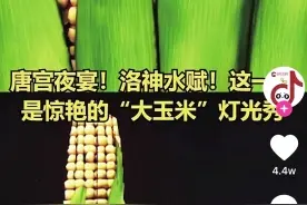 “大玉米”特效满分火爆全网 它的灵感源泉已经1501岁啦图片