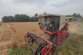 新麦客的江湖 农业现代化路上的一代人图片