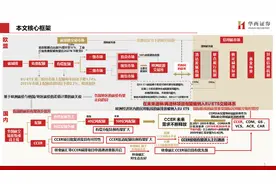 中国碳交易市场与林业碳汇前景解析图片