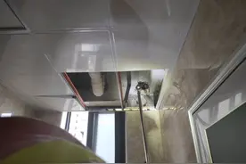 吓人！湖南一居民家房顶晚上总有很大响动，消防一看竟是一窝蝙蝠图片