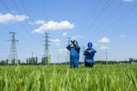 国网山东电力：全面排查风险隐患 筑牢电网安全防线图片