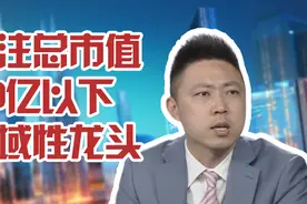 发改委罕见点评，电力股飞起，这类区域性龙头被看好丨一大板块视频封面