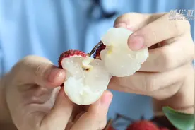 荔枝竟如鸡蛋大小！你见过吗？视频封面