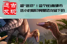 这么小的脚印，竟是恐龙留下的图片