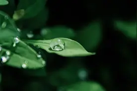 夜读 | 在中国，每一个夏天都有自己的名字图片
