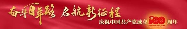 小兵张嘎的故事（我心中的英雄抗日小英雄张嘎）
