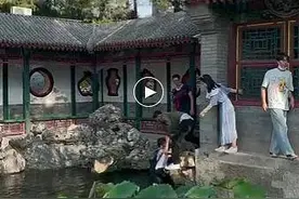 “严良哥哥”救起落水男孩，网友纷纷表示“粉了”图片