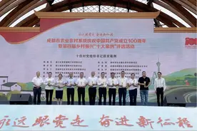 成都市第四届乡村振兴“十大案例”评选结果出炉图片