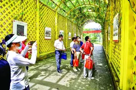 80幅图片呈现惠州好山好水好风光图片
