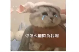 正惊GIF：减肥绊脚石竟是室友，美女宿舍运动时，室友行为惊呆众人图片