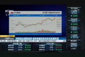 中药龙头强势涨停 板块有望迎来历史性发展机遇 丨行业风口视频封面