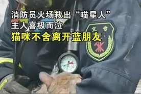 不舍“蓝朋友”，猫咪被救出火场后牢牢黏住消防员，还不停舔袖子图片