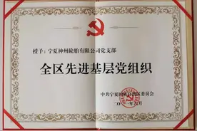 神州轮胎：喜获宁夏“全区先进基层党支部”荣誉称号图片