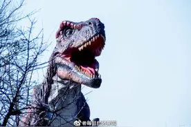 北极地区发现恐龙幼崽化石图片
