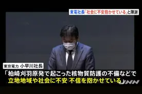 日本最大核电站因安全缺陷无法重启 东京电力社长鞠躬道歉图片