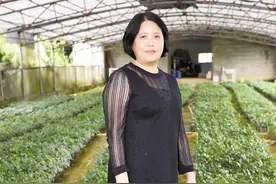 种牛大力振兴乡村 农村巾帼过上火红日子图片