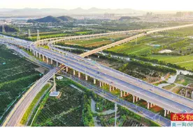 坚持工业立区之路 打造湾区魅力城市图片