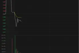 解释有用！中恒集团开盘大跌图片